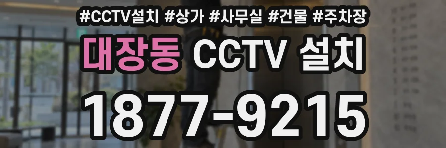 대장동 CCTV 설치