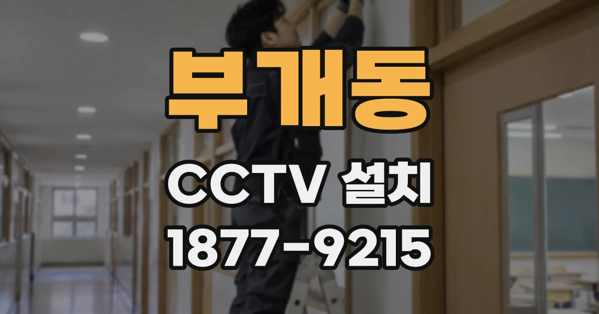 부개동 CCTV 설치