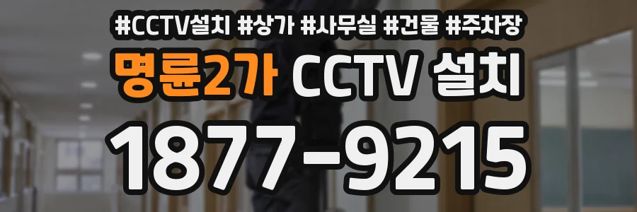 명륜2가 CCTV 설치