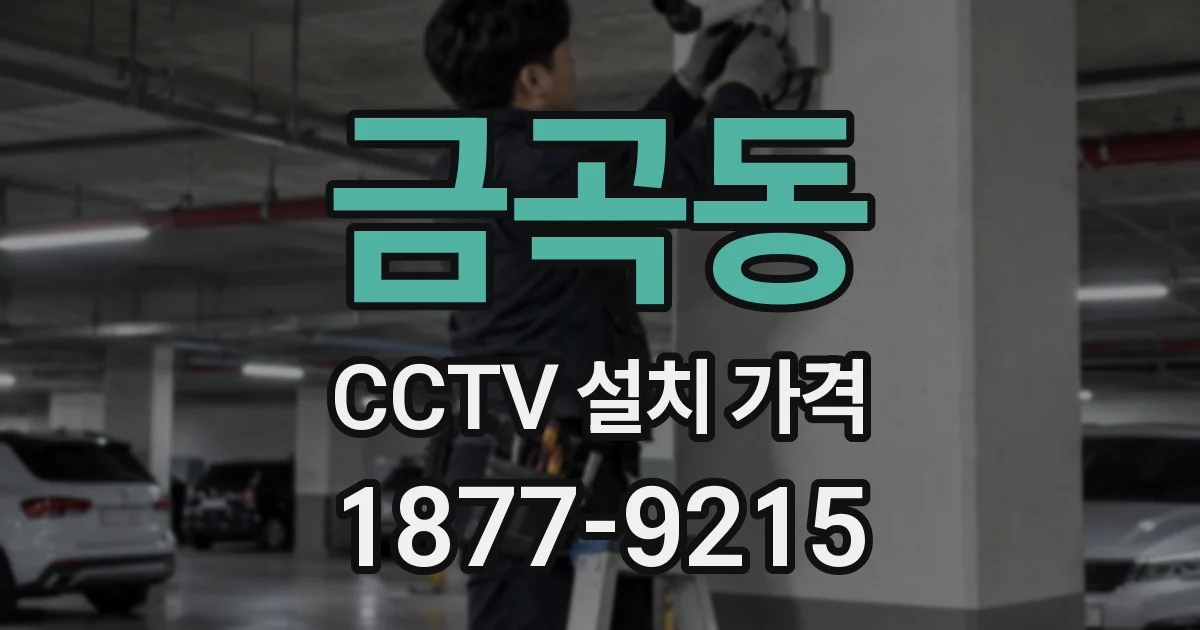 금곡동 CCTV 설치 가격
