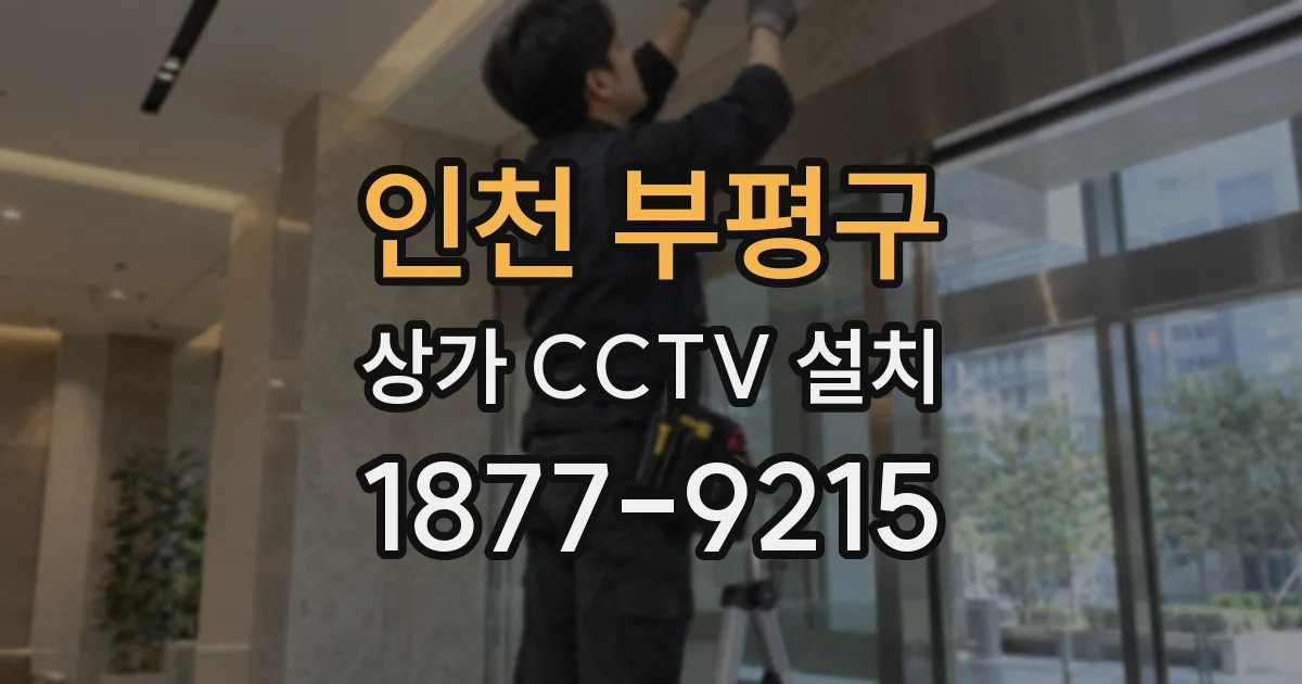 인천 부평구 상가 CCTV 설치