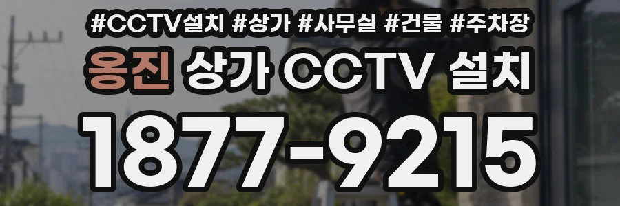 옹진 상가 CCTV 설치