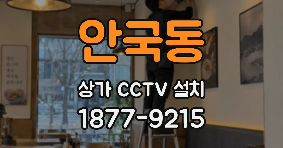 안국동 상가 CCTV 설치