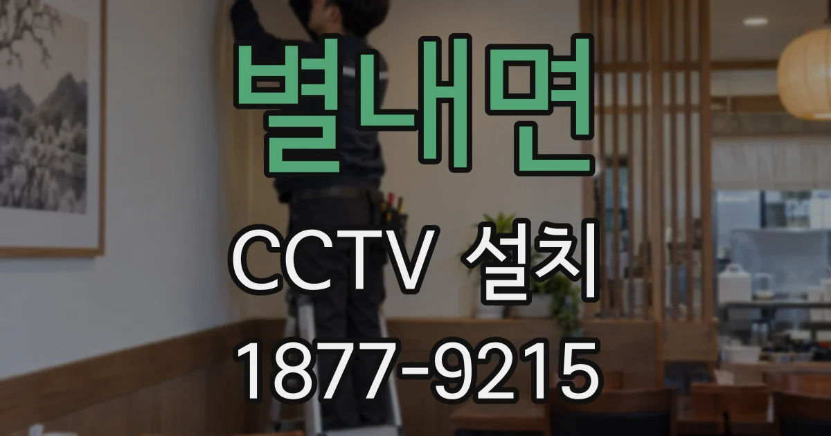 별내면 CCTV 설치