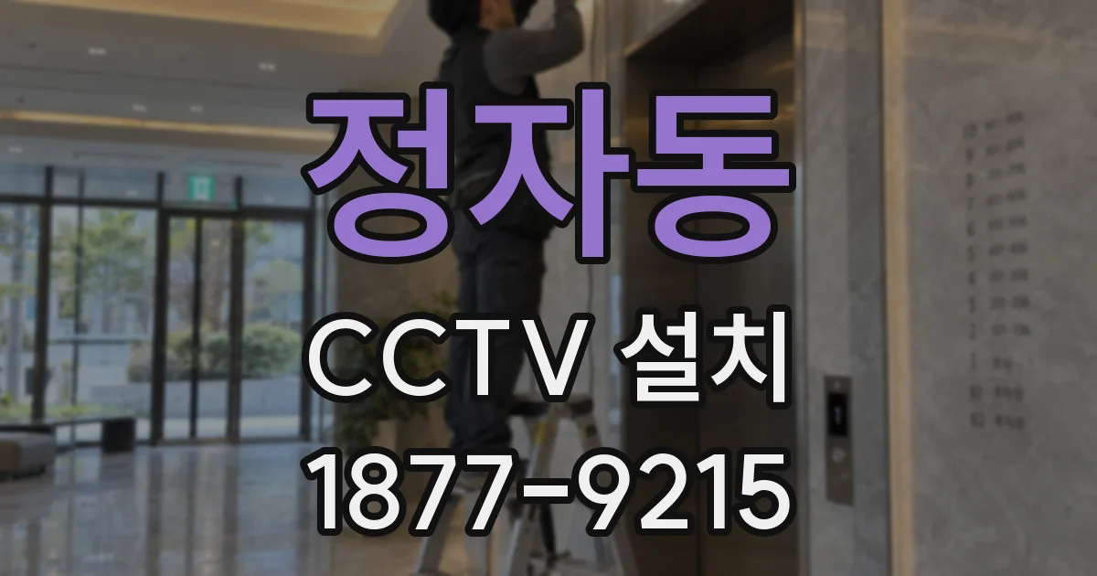 정자동 CCTV 설치