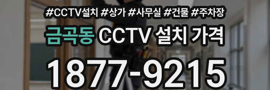 금곡동 CCTV 설치 가격