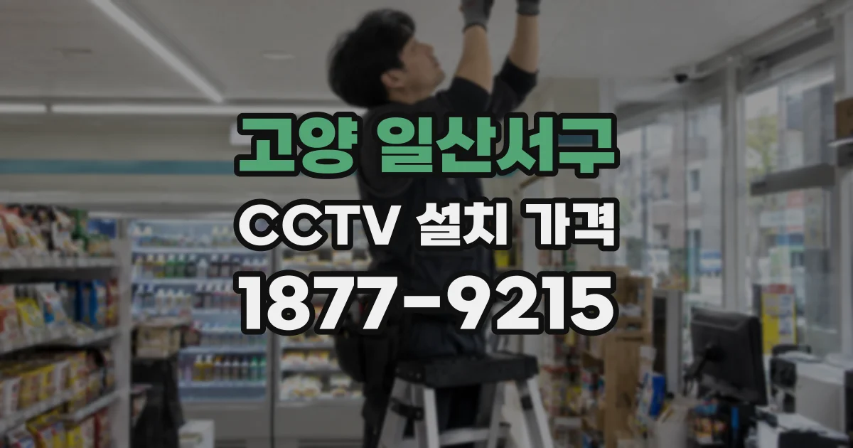 고양 일산서구 CCTV 설치 가격