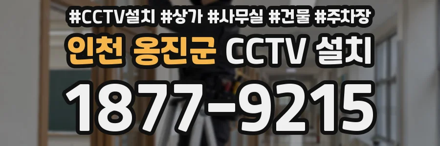 인천 옹진군 CCTV 설치