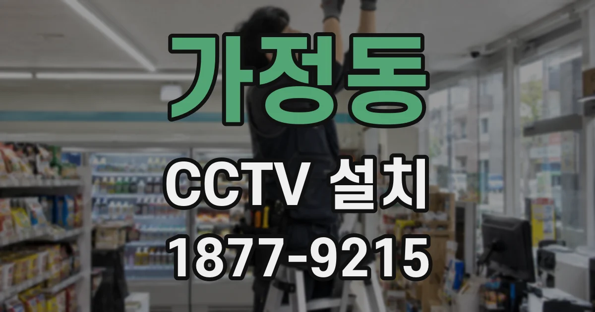 가정동 CCTV 설치