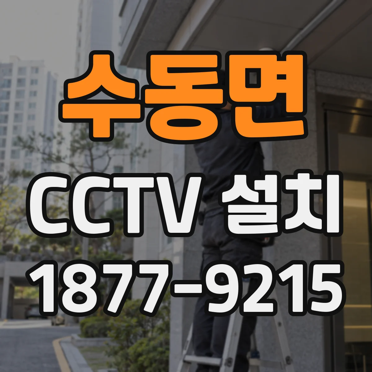 수동면 CCTV 설치