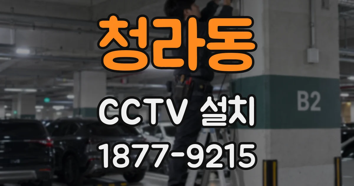 청라동 CCTV 설치