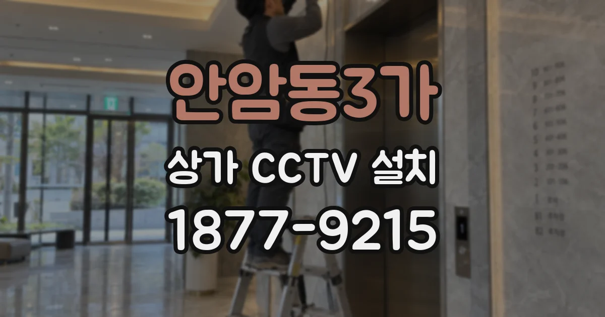 안암동3가 상가 CCTV 설치