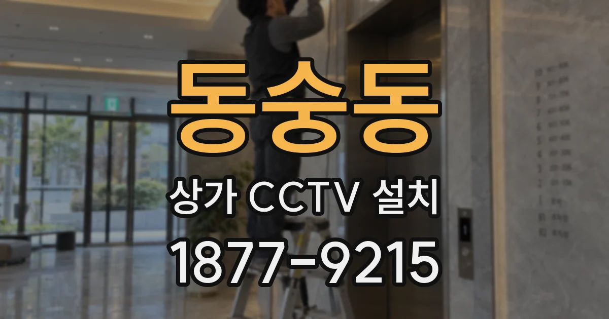 동숭동 상가 CCTV 설치