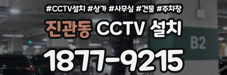 진관동 CCTV 설치