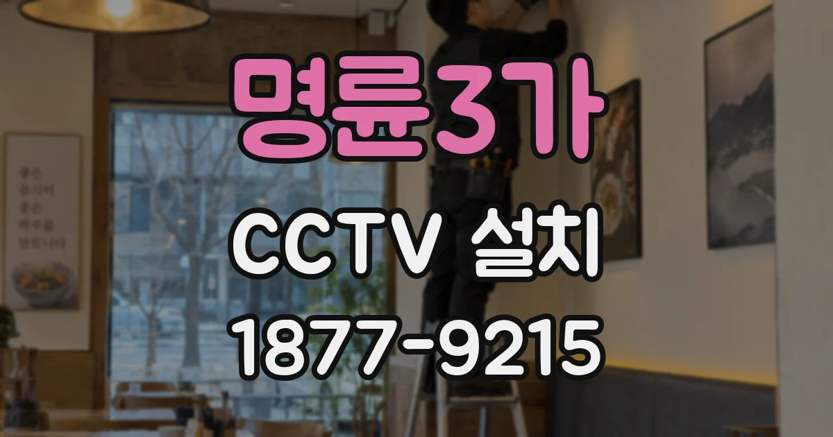 명륜3가 CCTV 설치