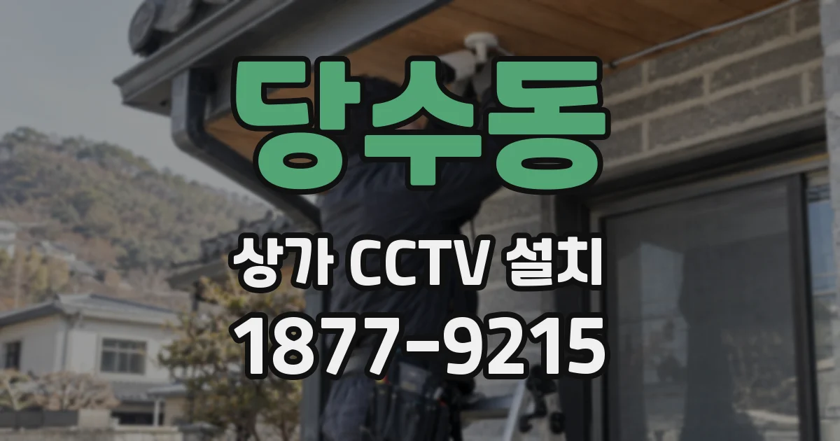 당수동 상가 CCTV 설치
