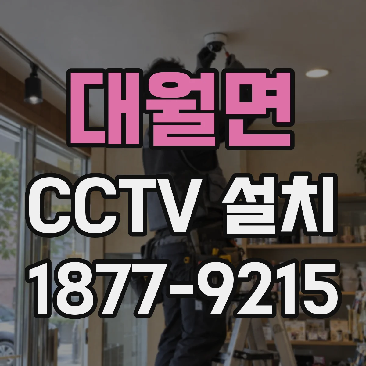 대월면 CCTV 설치