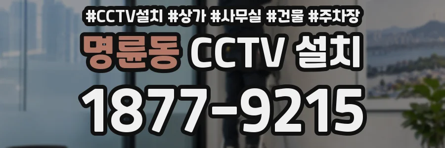 명륜동 CCTV 설치