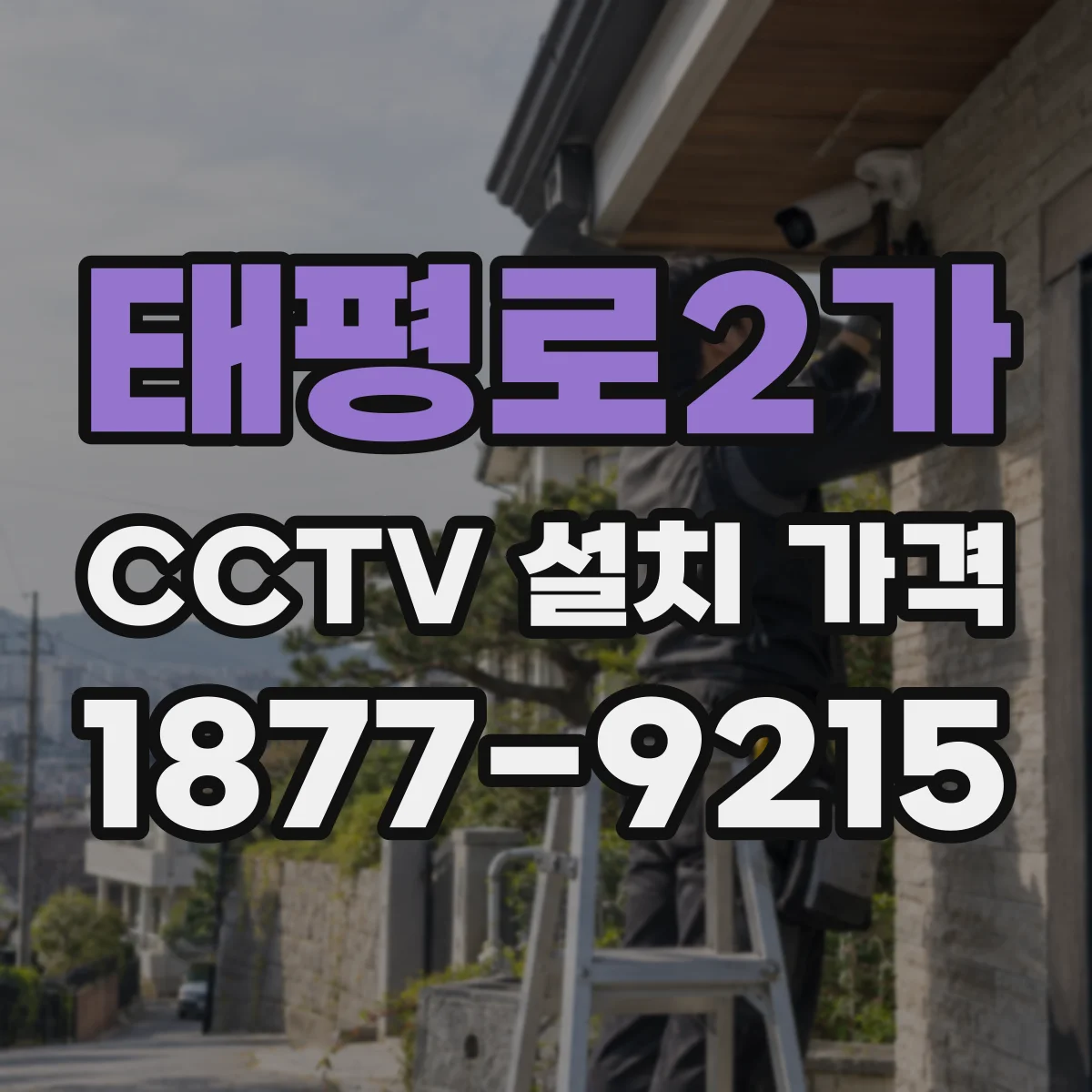 태평로2가 CCTV 설치 가격