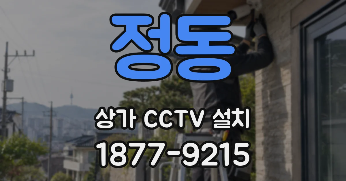 정동 상가 CCTV 설치