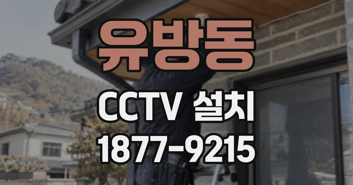 유방동 CCTV 설치