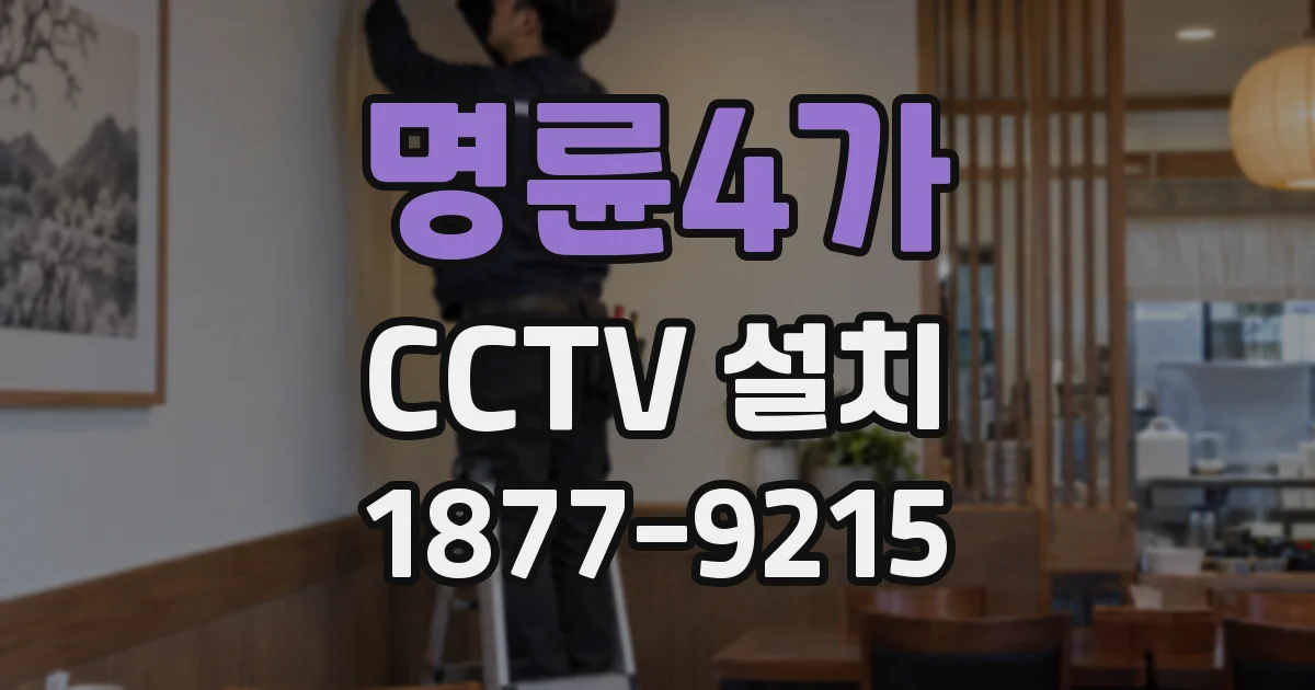 명륜4가 CCTV 설치