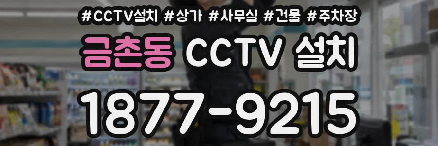 금촌동 CCTV 설치