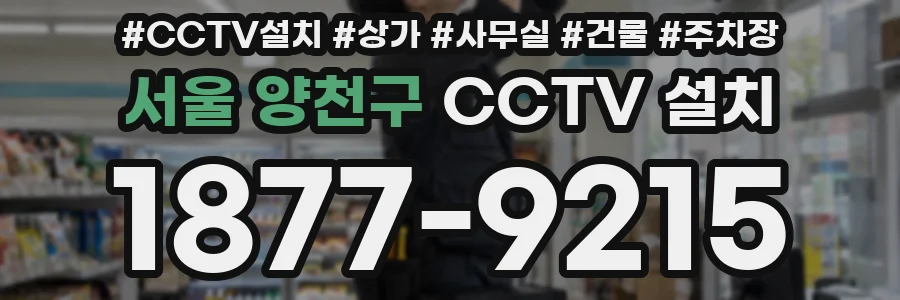 서울 양천구 CCTV 설치