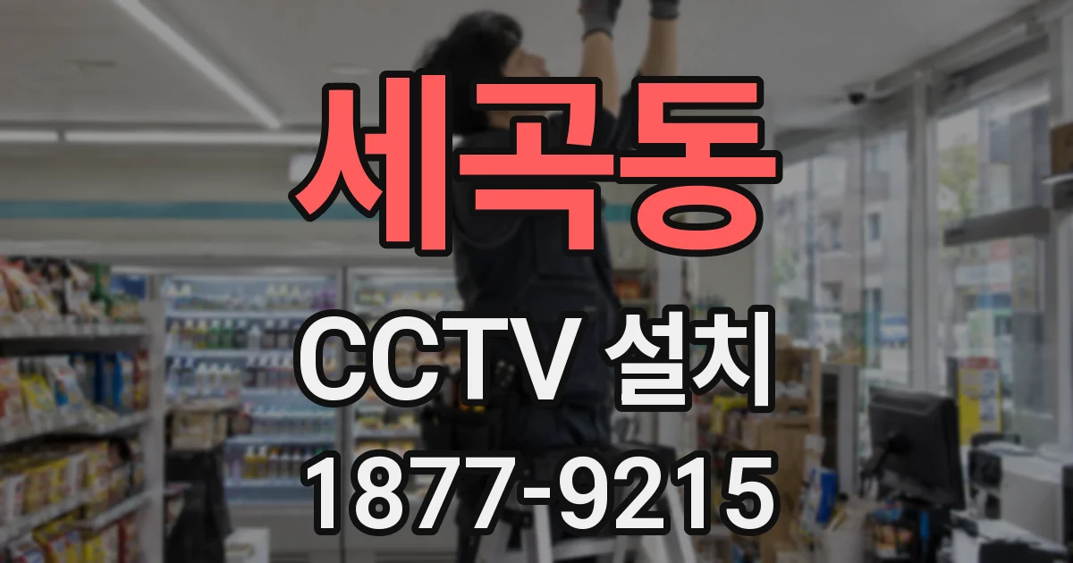 세곡동 CCTV 설치