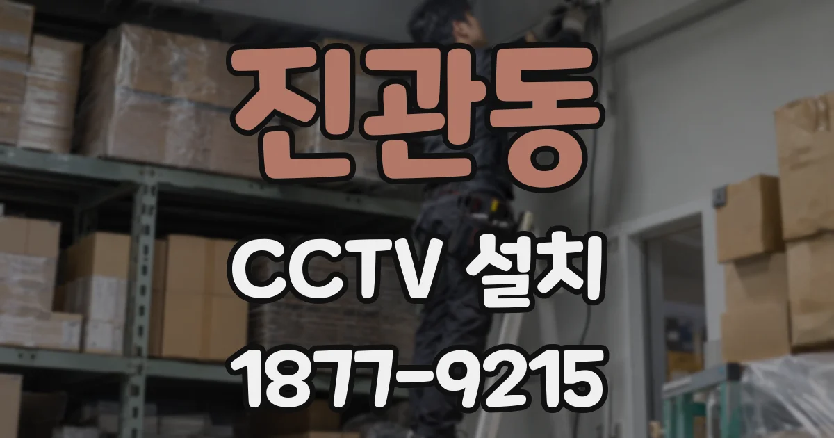 진관동 CCTV 설치