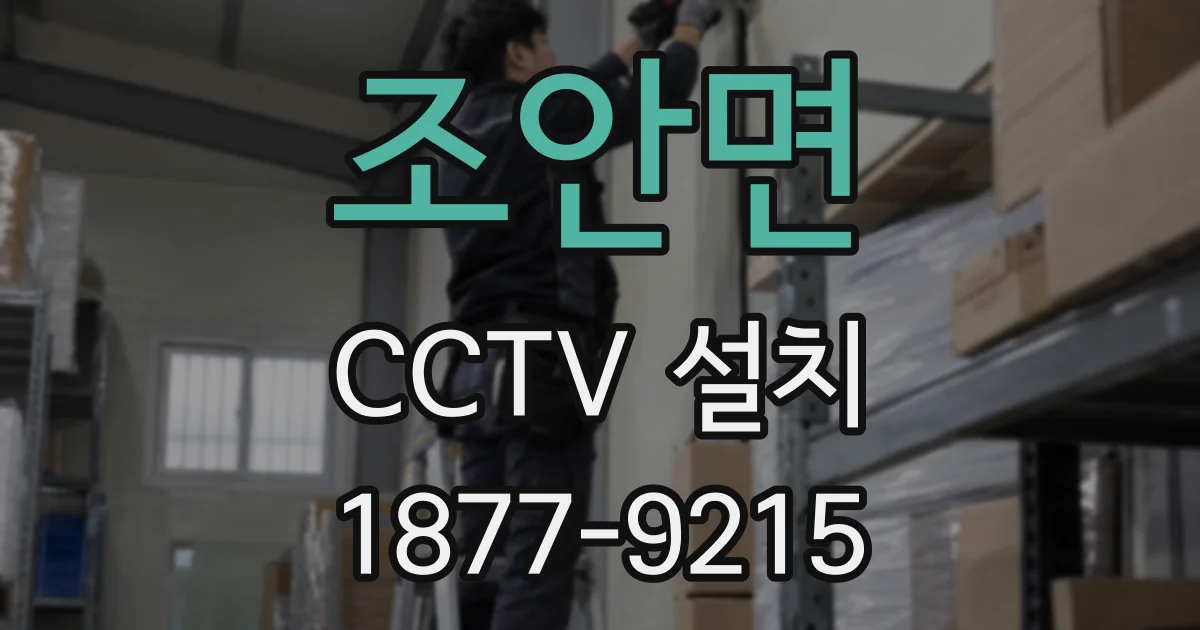 조안면 CCTV 설치