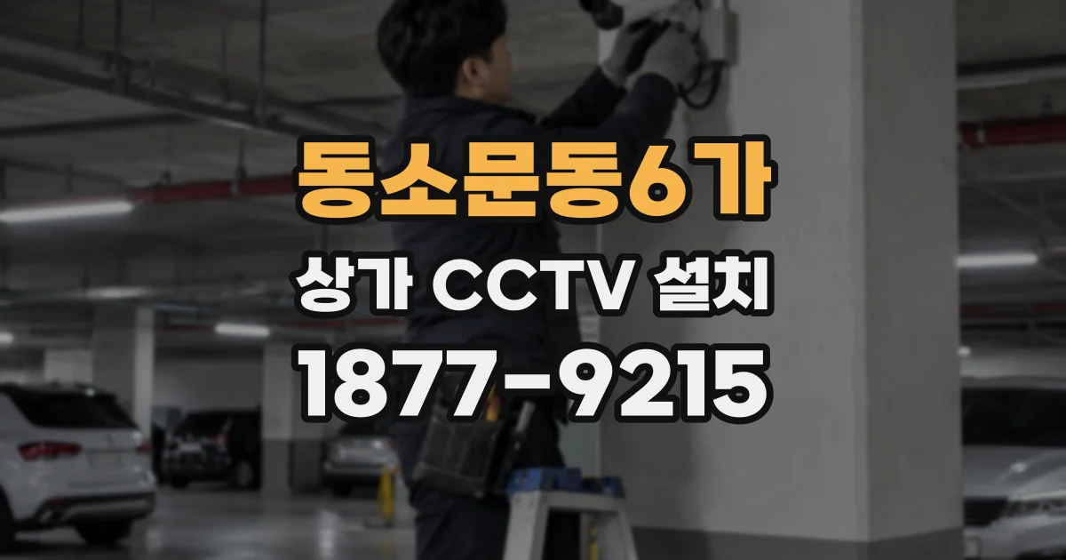 동소문동6가 상가 CCTV 설치