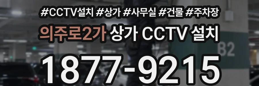 의주로2가 상가 CCTV 설치