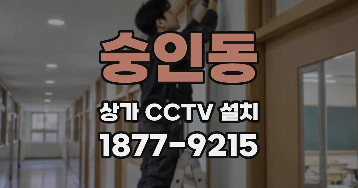 숭인동 상가 CCTV 설치
