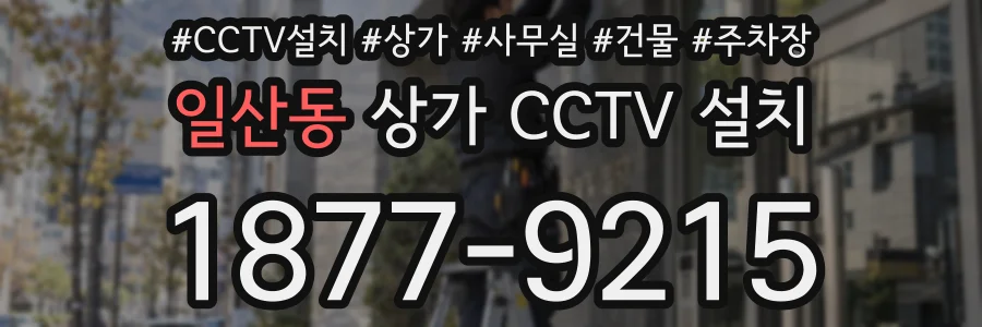 일산동 상가 CCTV 설치