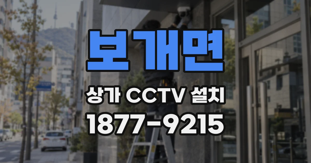 보개면 상가 CCTV 설치