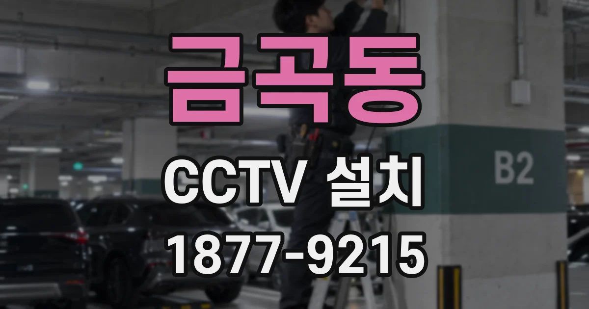 금곡동 CCTV 설치