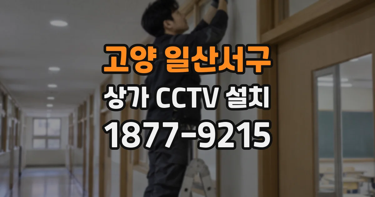 고양 일산서구 상가 CCTV 설치