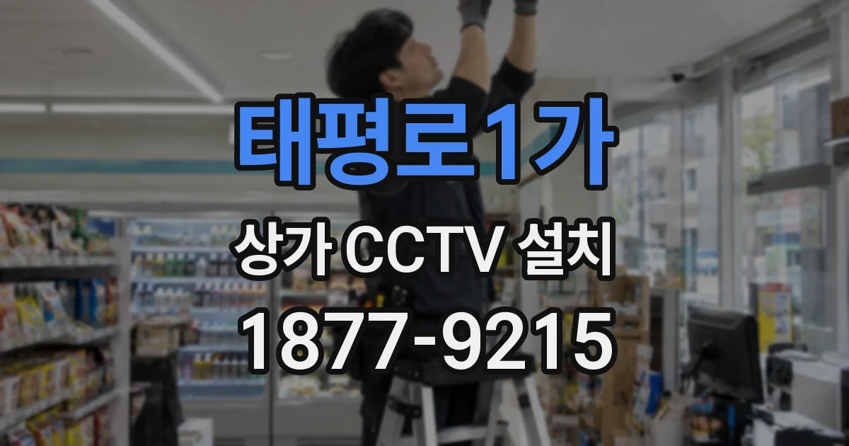 태평로1가 상가 CCTV 설치