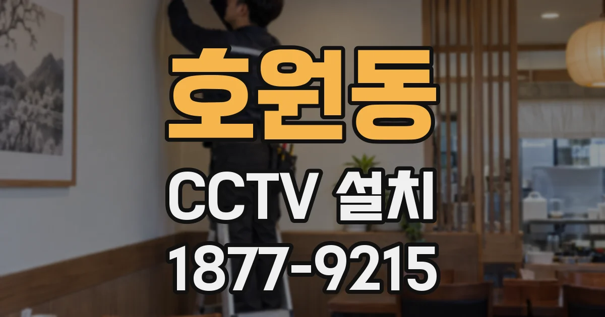 호원동 CCTV 설치