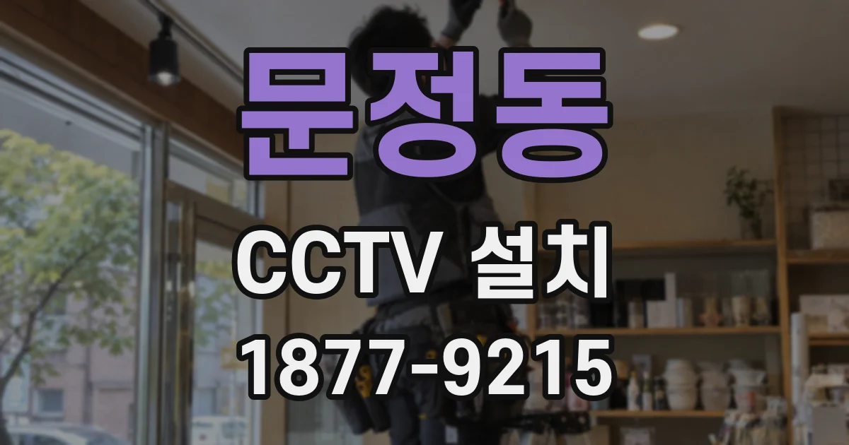 문정동 CCTV 설치