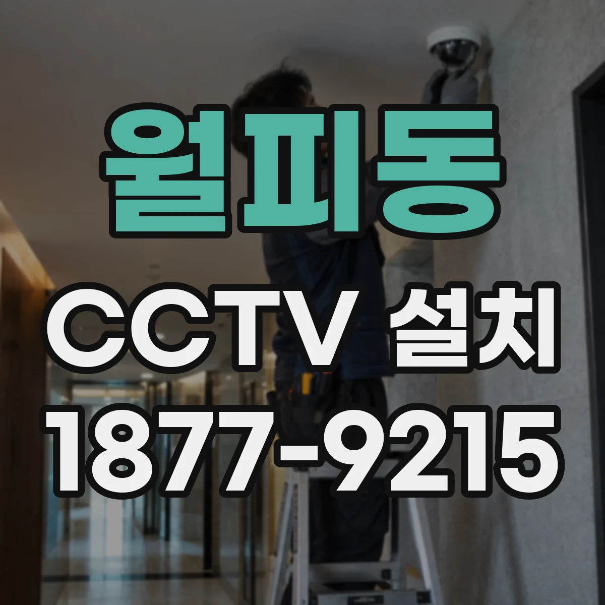 월피동 CCTV 설치