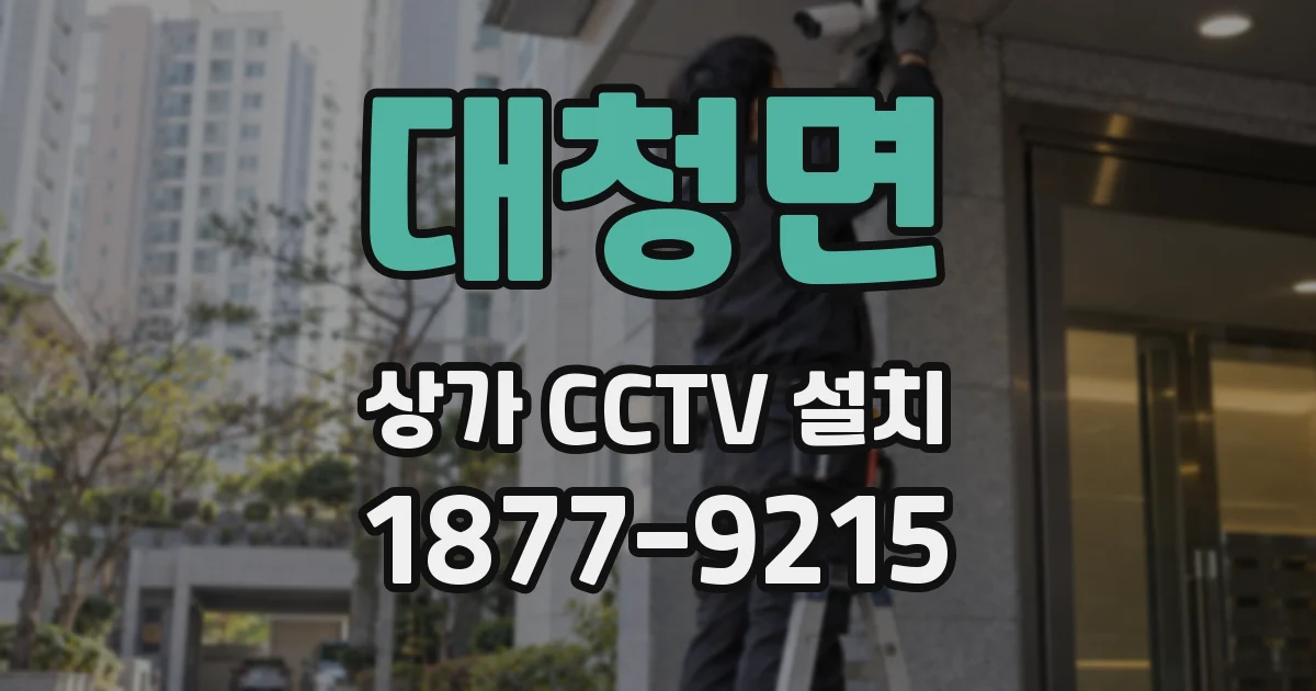 대청면 상가 CCTV 설치