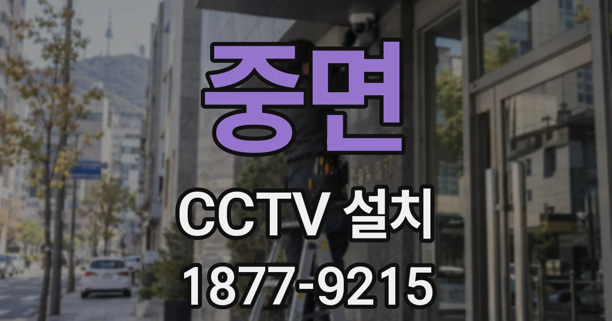 중면 CCTV 설치