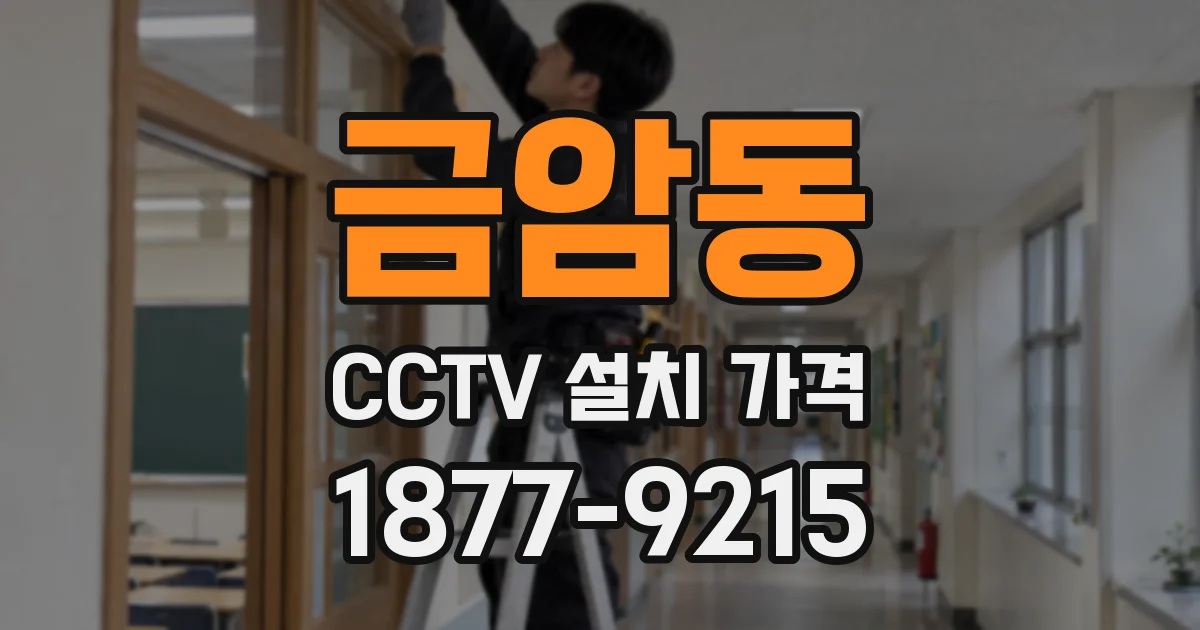 금암동 CCTV 설치 가격