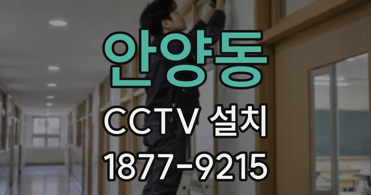 안양동 CCTV 설치