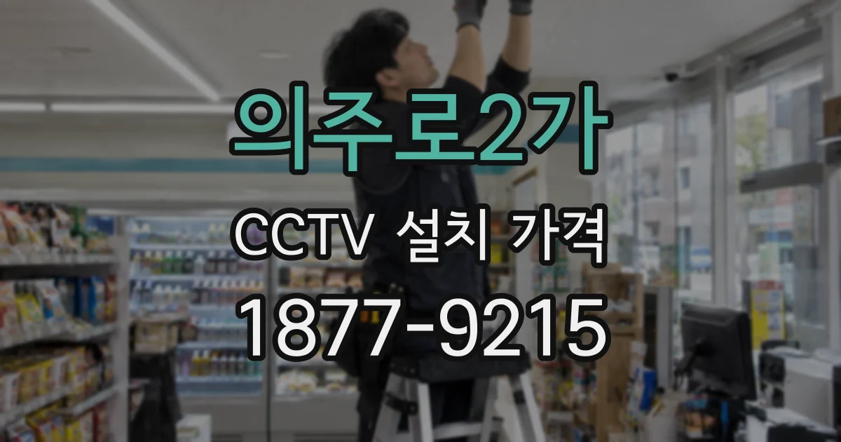 의주로2가 CCTV 설치 가격