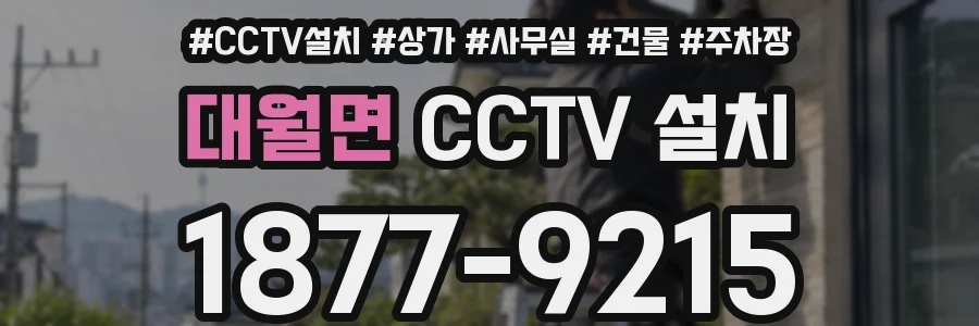대월면 CCTV 설치