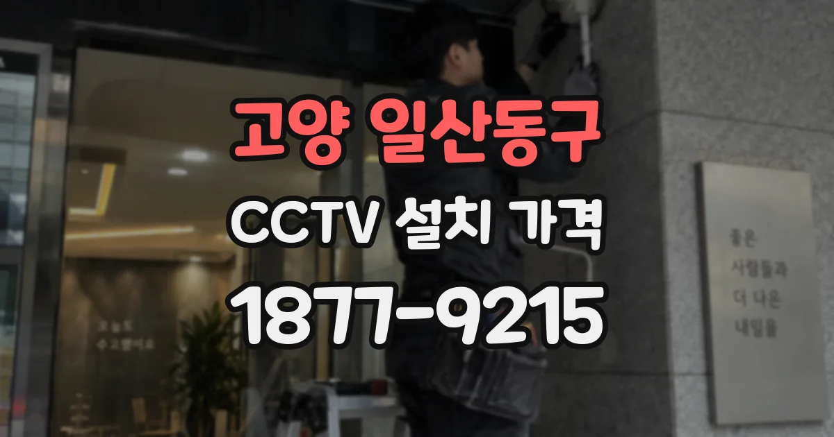고양 일산동구 CCTV 설치 가격