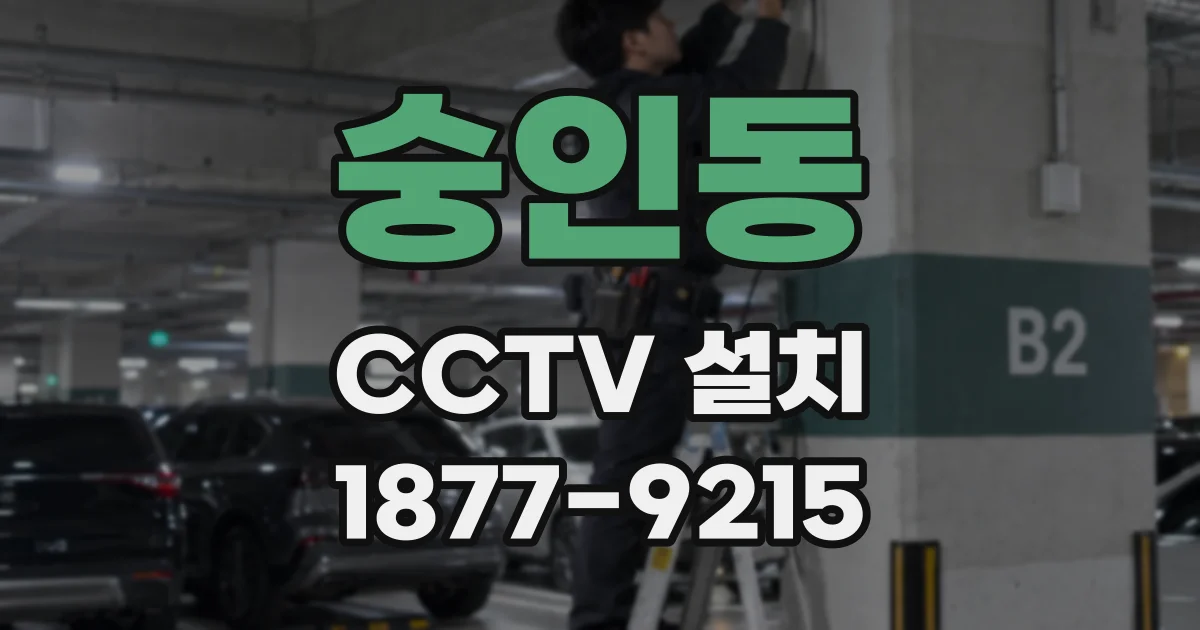 숭인동 CCTV 설치